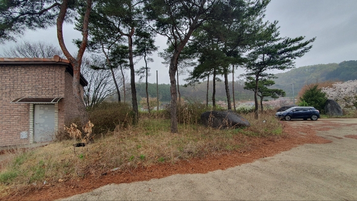 제시외물건(수목 및 조경석 등)