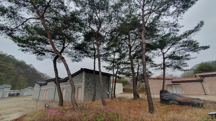 제시외물건(수목 및 조경석 등)