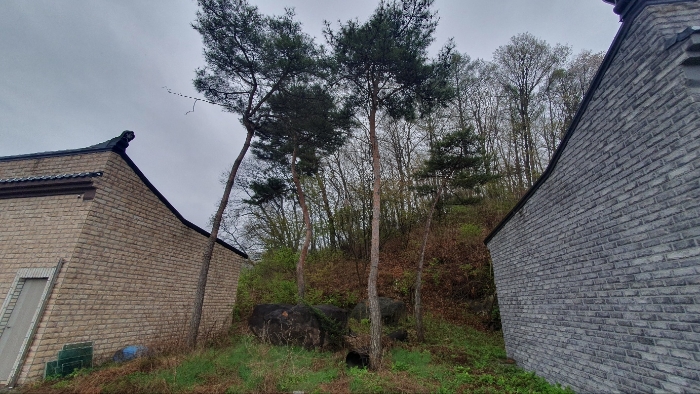 제시외물건(수목 및 조경석 등)