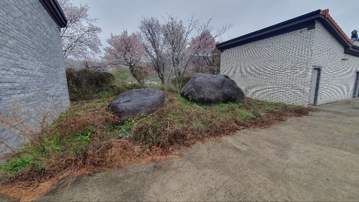 제시외물건(수목 및 조경석 등)