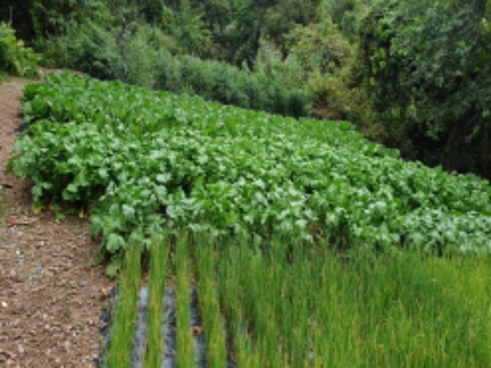 4.목록 부동산