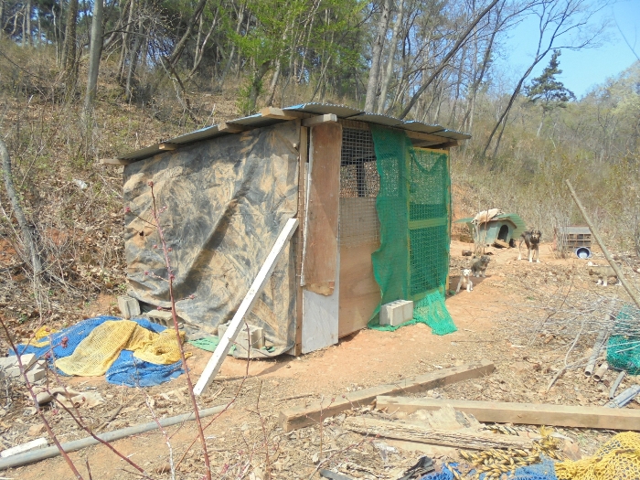 지상 소재 계사(평가제외-가치희박)