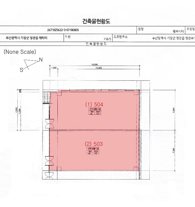 건 물 개 황 도