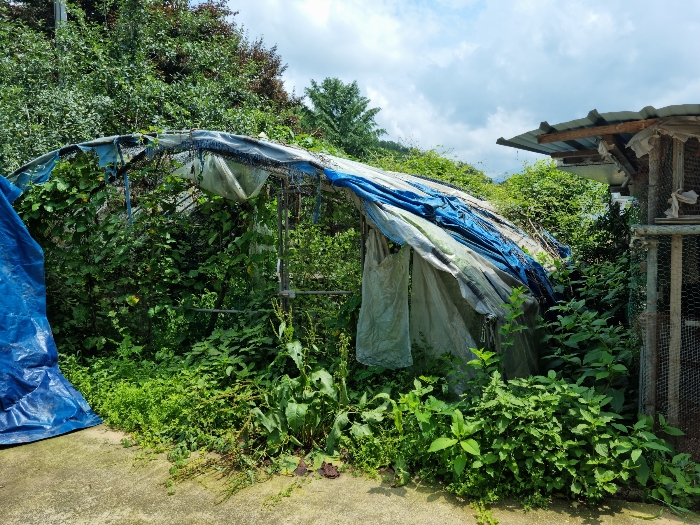 비닐하우스(기호1 지상소재)-평가외