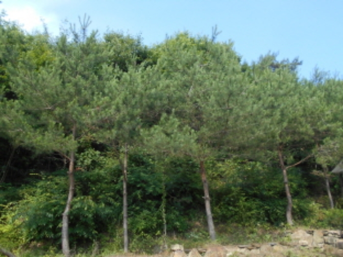 목록3번 전경 (2)