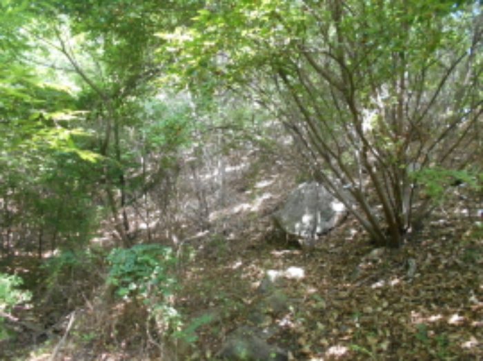 목록4번 전경 (3)