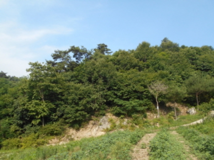 목록4번 전경 (1)