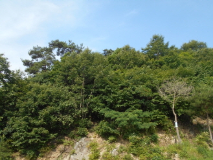 목록4번 전경 (2)