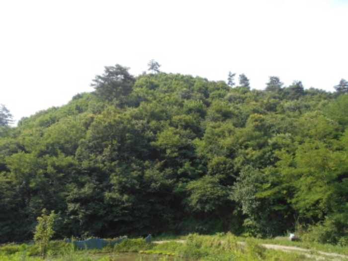 목록5번 전경 (1)