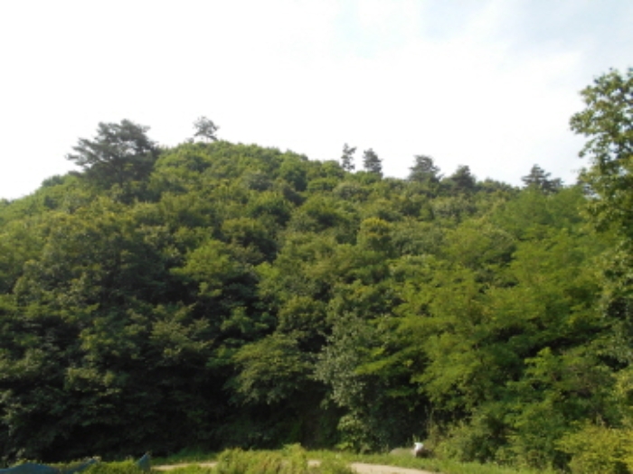 목록5번 전경 (2)