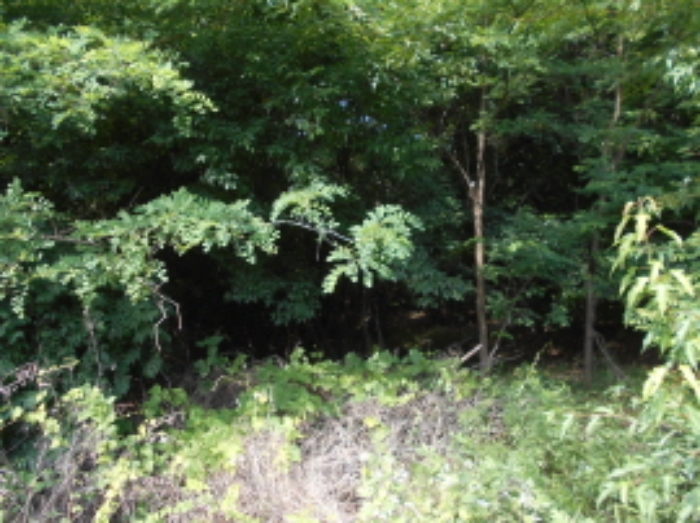 목록5번 전경 (3)