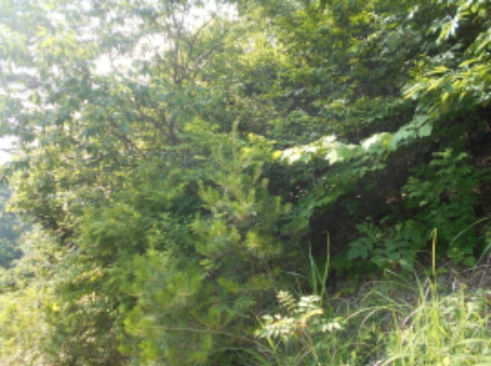 목록1번 전경 (2)