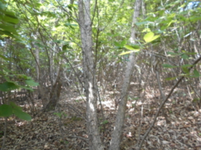 목록1번 전경 (3)