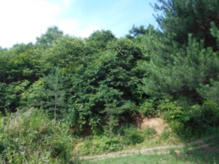 목록2번 전경 (1)