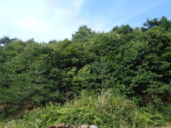 목록2번 전경 (2)