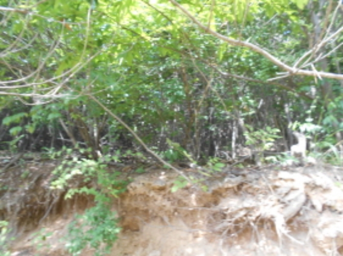 목록2번 전경 (3)