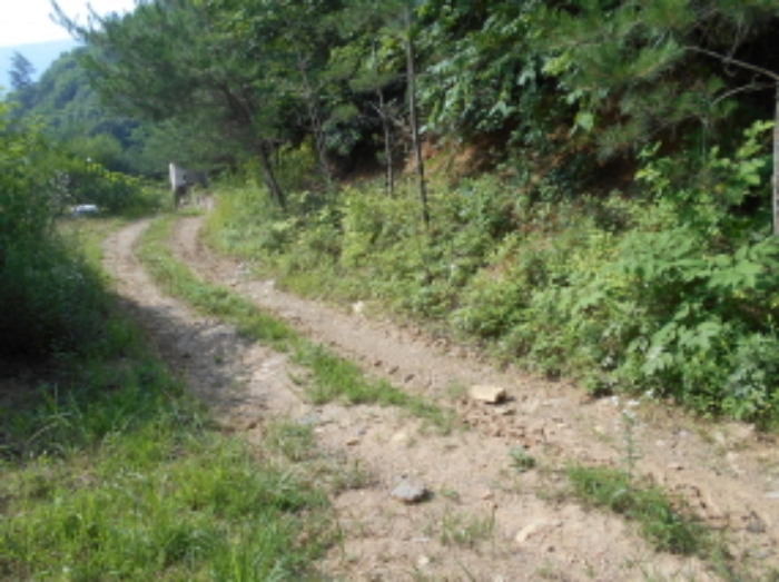 목록2번 북동쪽 임도