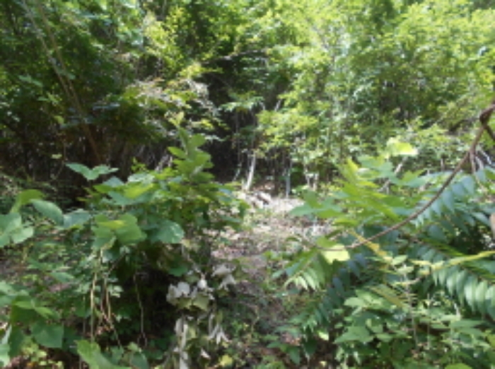 목록3번 전경 (1)