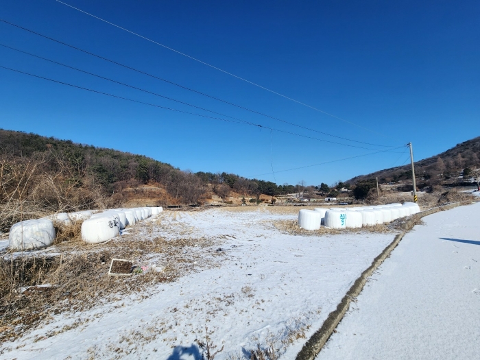 본건 전경
(본건 남서측에서 촬영)