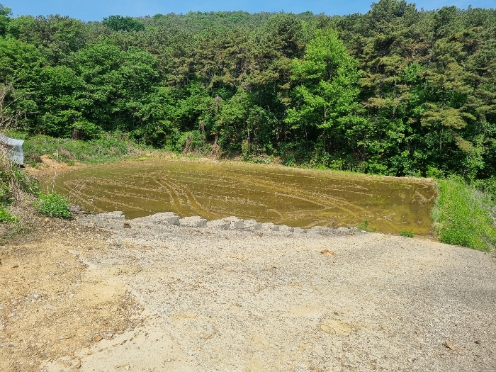 본건 근경(농경지 부분)