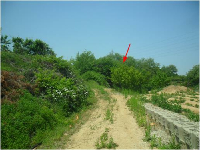 본건전경 및 주위환경(남측 촬영)