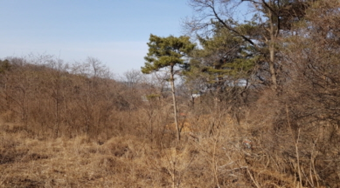 본건 부동산