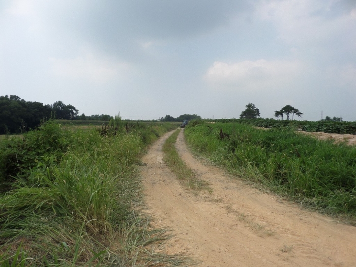 기호(8) 도 로 전 경