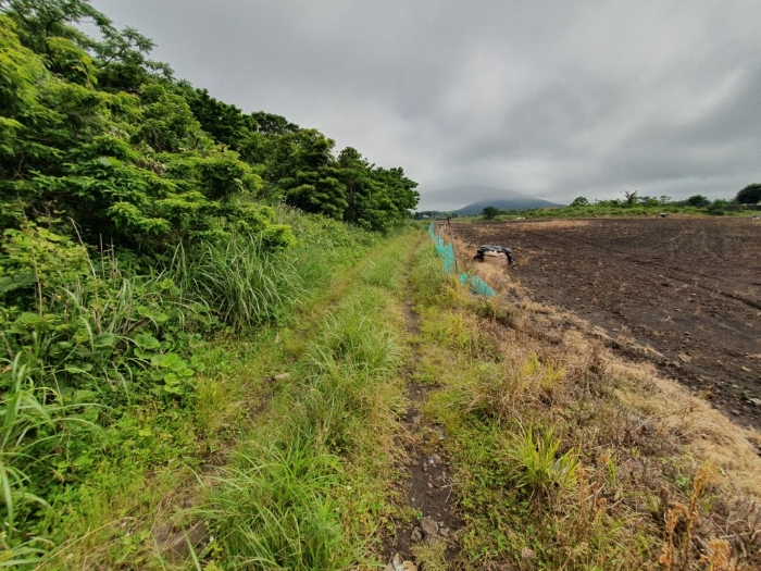 주 위 환 경Ⅱ