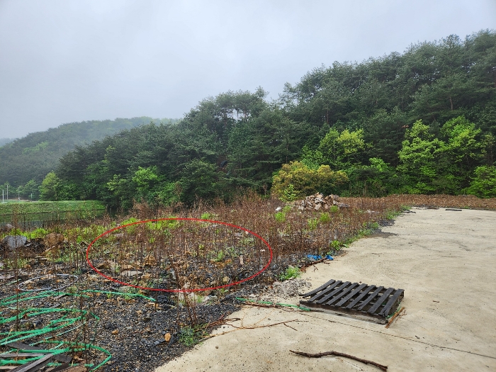 본건 기호7 전경
북서측에서 남동측을 향하여 촬영