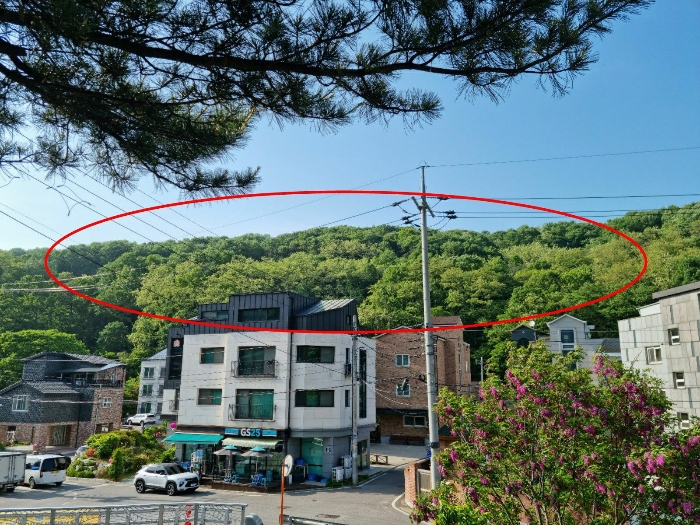 본건 남동측에서 촬영