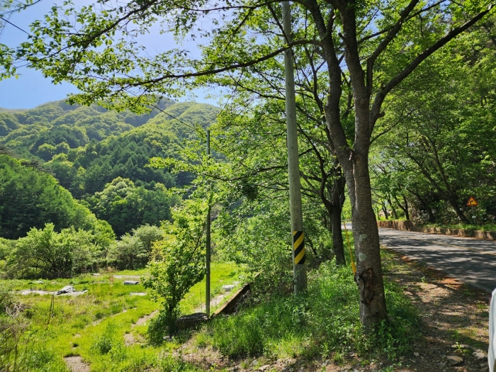 본건 주위환경