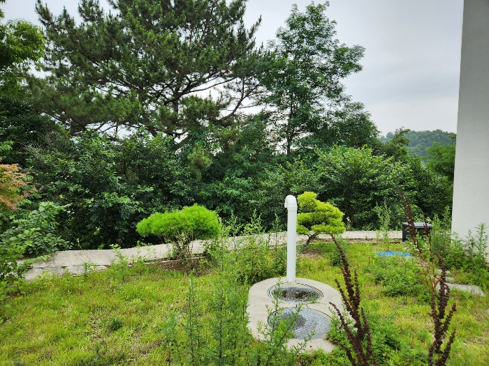 정원수 잔디 등 
[토지에 포함평가]