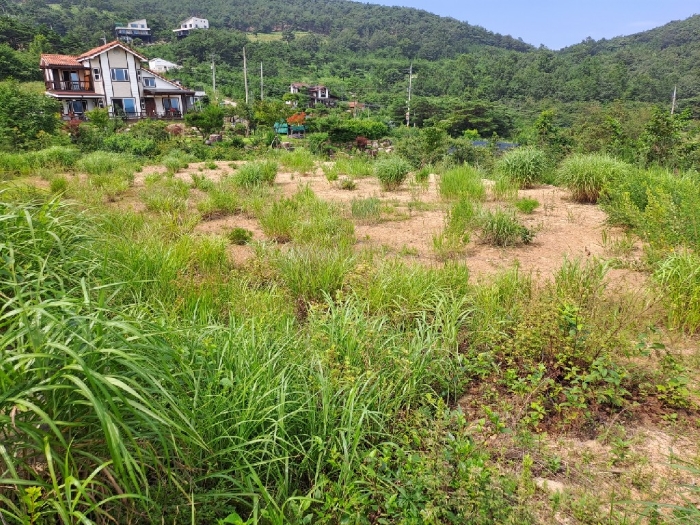 본 건 전 경 기호3)
남측에서 북측으로