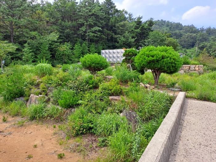 본 건 전 경 기호11)
남측에서 북측으로