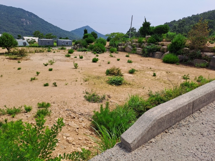 본 건 전 경 기호13)
북측에서 남측으로