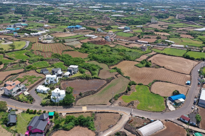 본건 전경