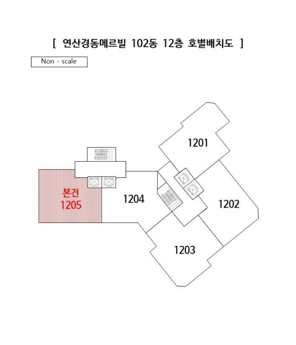 건 물 개 황 도