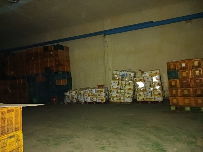 기호(13-1) 내부 근경