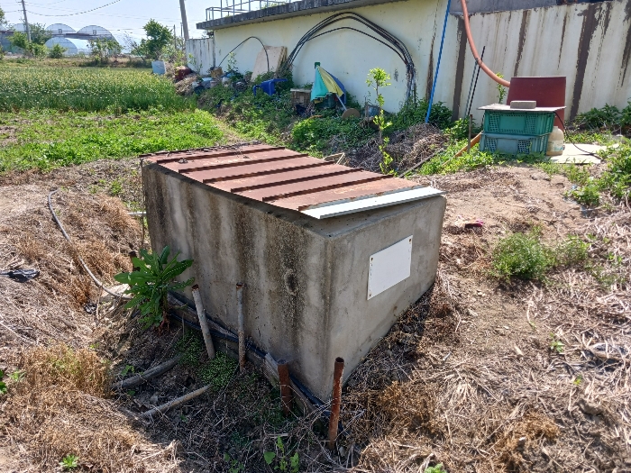 제시외관정 ① 근경