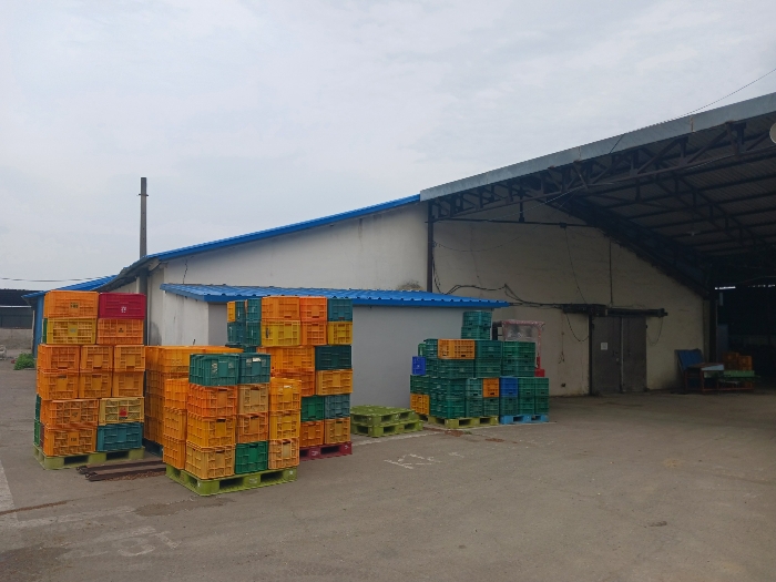 기호(14) 및 제시외건물 ㉥ 근경