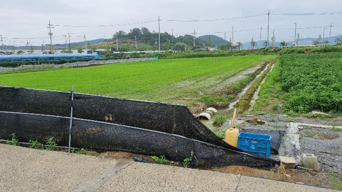 본건 전체 전경(서측에서 촬영)