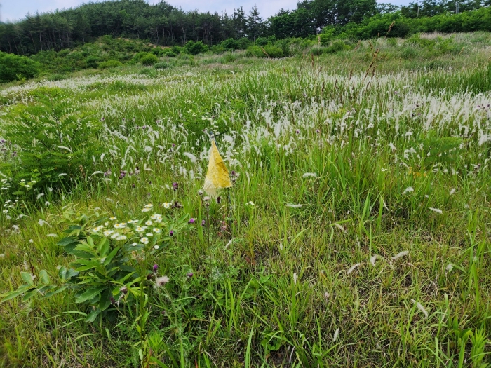 분묘소재 추정부분