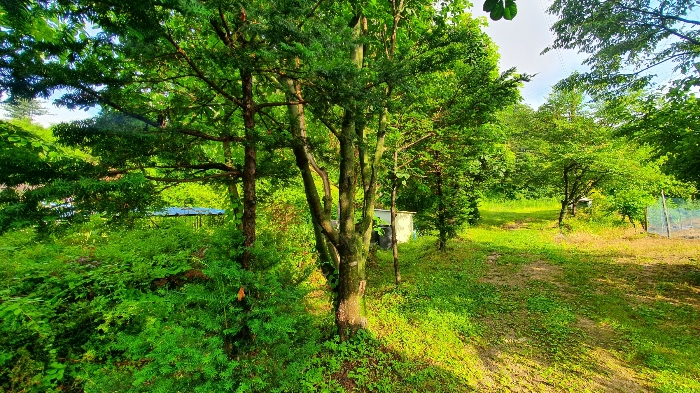 본 건  남 동 측  현 황