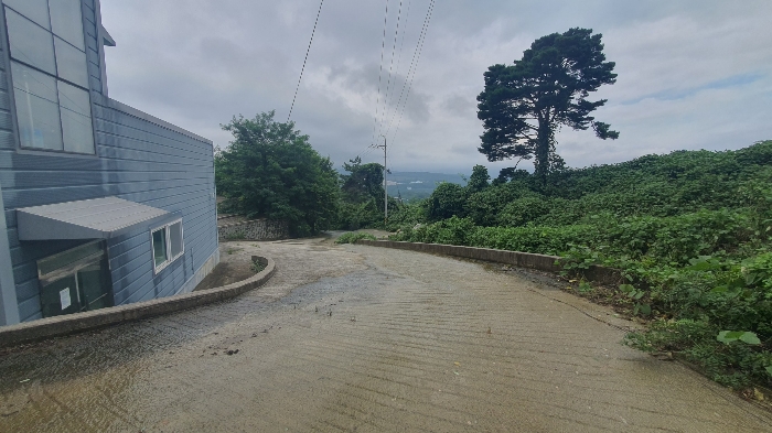 본건 기호(5) 토지