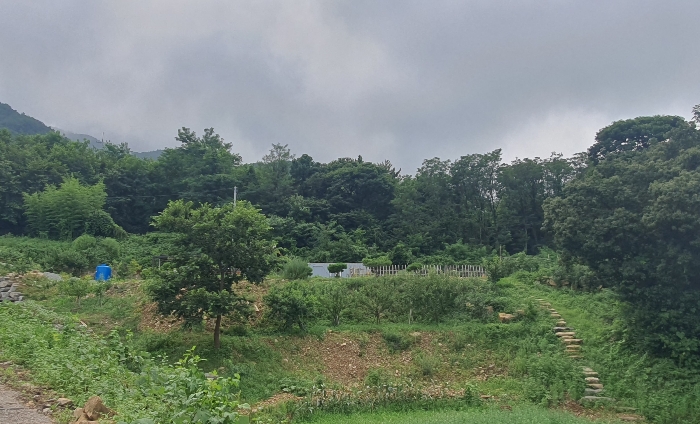 본건 기호(7, 8) 토지 원경