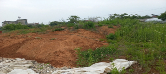 목록5 토지 전경