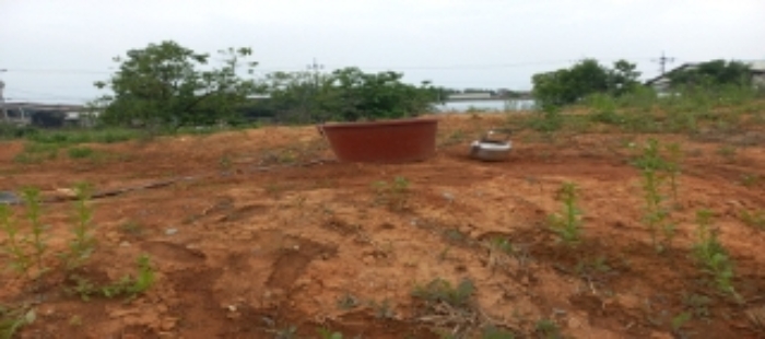 목록5 토지 전경