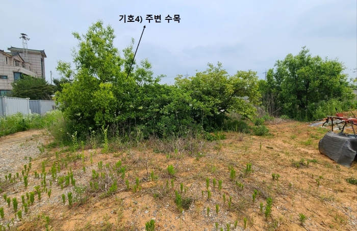 (기호4) 주변 수목)
