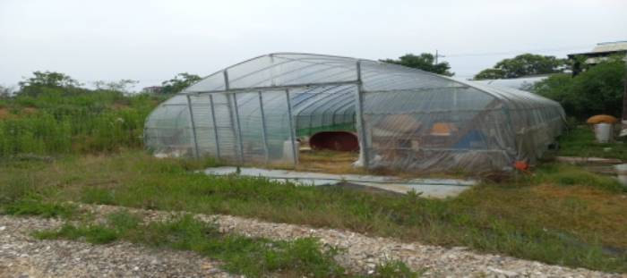 목록5 토지 전경-제시외 비닐하우스 소재