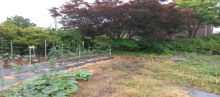 목록4 토지 전경